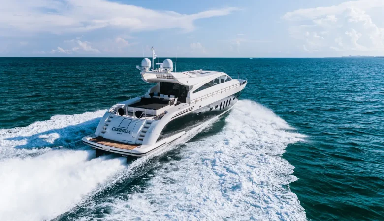 101 Leopard _ Photo 1